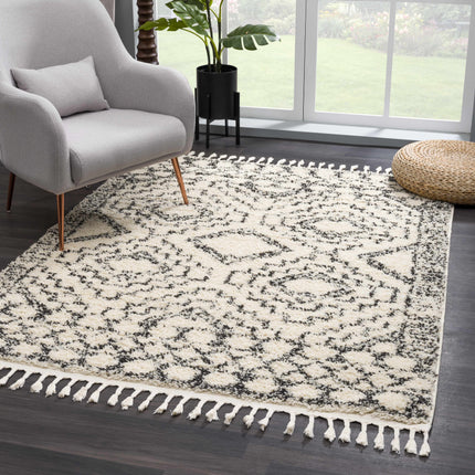 Buan Area Rug - Clearance Rugs TriadCommerceInc