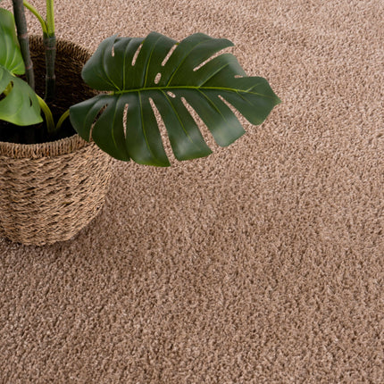 Judy Brown Washable Area Rug Rugs TriadCommerceInc