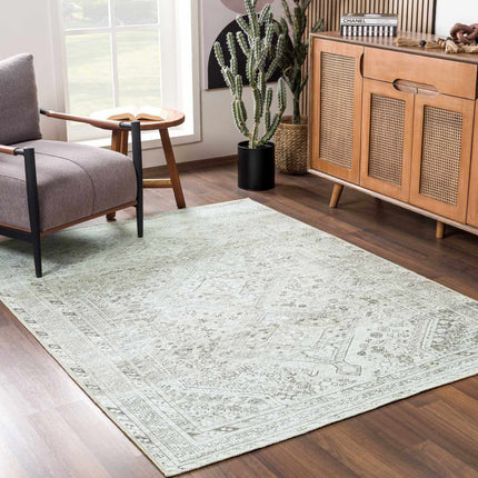 Barny Sage Flat Pile Washable Rug Rugs TriadCommerceInc 2' x 2'11" Rectangle