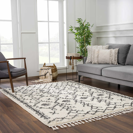 Godalming Plush Area Rug Rugs TriadCommerceInc