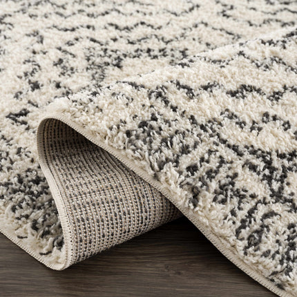 Buan Area Rug - Clearance Rugs TriadCommerceInc