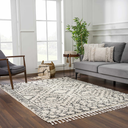 Buan Area Rug - Clearance Rugs TriadCommerceInc