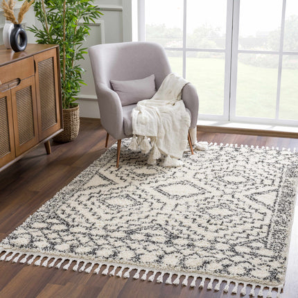 Buan Area Rug - Clearance Rugs TriadCommerceInc