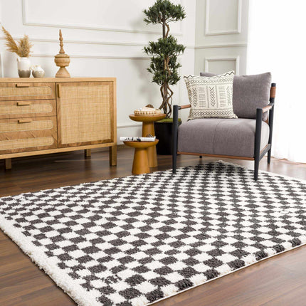 Kieu Black & White Checkered Shag Rug Rugs TriadCommerceInc 5'3" x 7' Rectangle