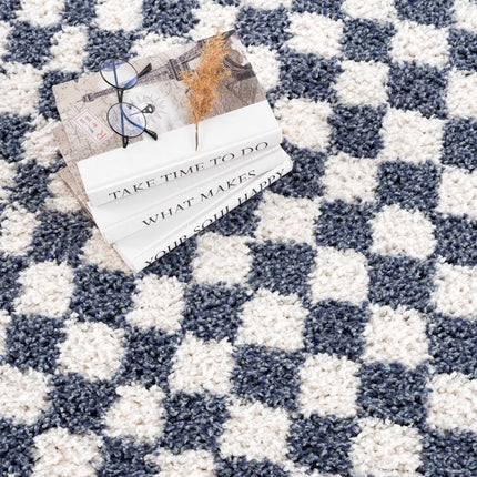 Kieu Blue & White Checkered Area Rug Rugs TriadCommerceInc