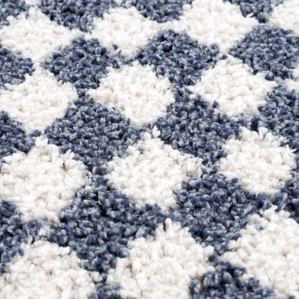 Kieu Blue & White Checkered Area Rug Rugs TriadCommerceInc