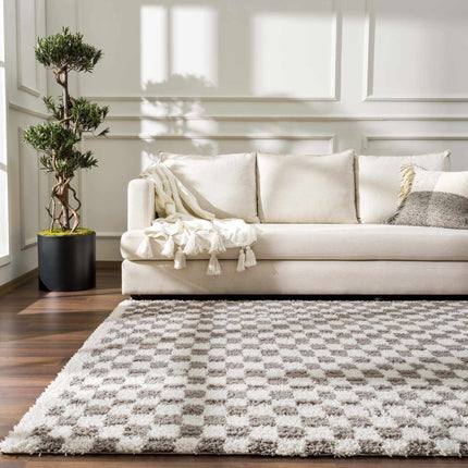 Kieu Taupe Checkered Plush Rug Rugs TriadCommerceInc 5'3" x 7' Rectangle