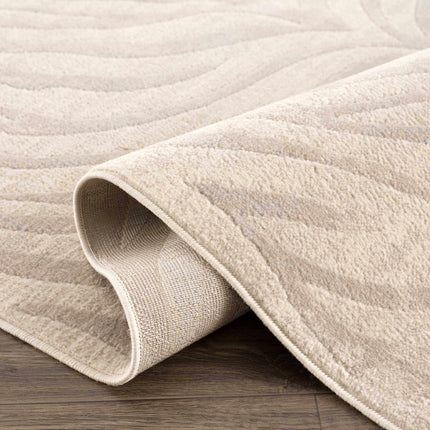 Beige Manteca Zebra Print Area Rug Rugs TriadCommerceInc