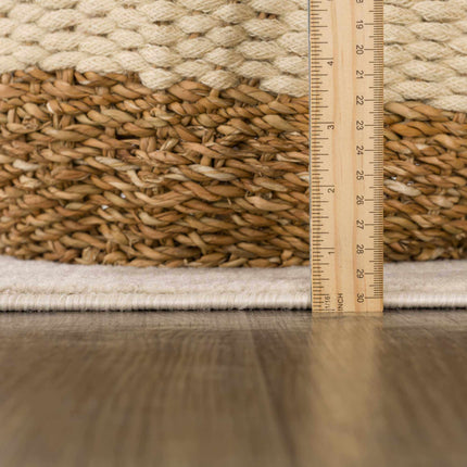 Beige Manteca Zebra Print Area Rug Rugs TriadCommerceInc