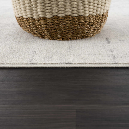 Tigrima Ivory 2319 Area Rug - Clearance Rugs TriadCommerceInc