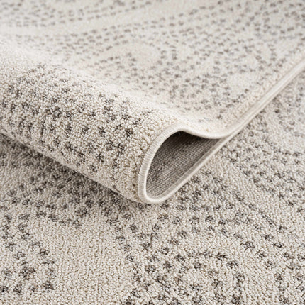 Birdwood Cream & Brown Area Rug Rugs TriadCommerceInc