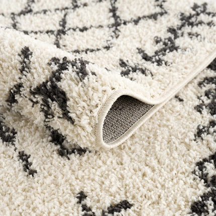 Godalming Plush Area Rug Rugs TriadCommerceInc