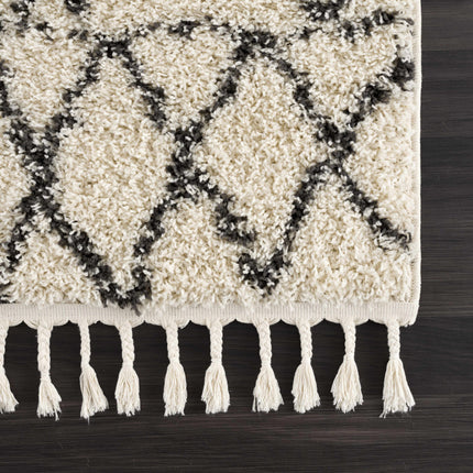 Emlenton Berber Shag with Tassels - Clearance Rugs TriadCommerceInc