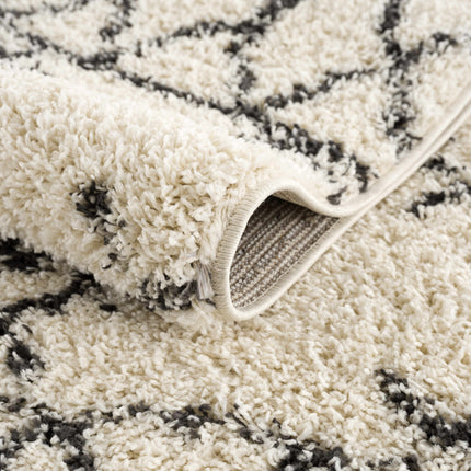 Emlenton Berber Shag with Tassels - Clearance Rugs TriadCommerceInc