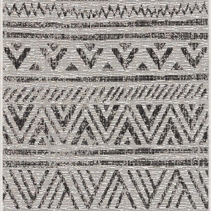 Catrine Indoor & Outdoor Rug - Clearance Rugs TriadCommerceInc