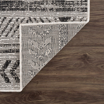 Catrine Indoor & Outdoor Rug - Clearance Rugs TriadCommerceInc