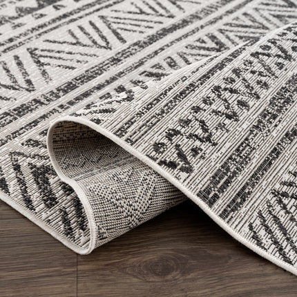 Catrine Indoor & Outdoor Rug - Clearance Rugs TriadCommerceInc