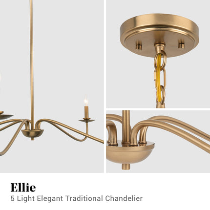 Ellie 5-Light Elegant Industrial Dimmable Chandelier Black Home Decor > Lighting > Ceiling Lights > Chandelier TriadCommerceInc
