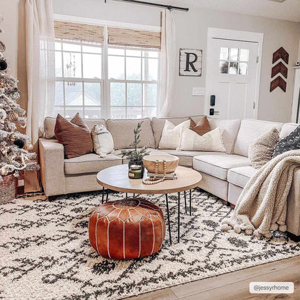 Godalming Plush Area Rug Rugs TriadCommerceInc