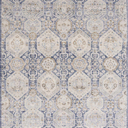 Parkerfield Blue Area Rug Rugs TriadCommerceInc
