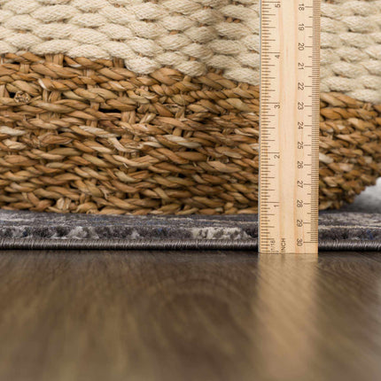 Georgiana Charcoal Area Rug Rugs TriadCommerceInc