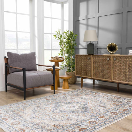 Erez Flat Pile Washable Rug - Promo Rugs TriadCommerceInc