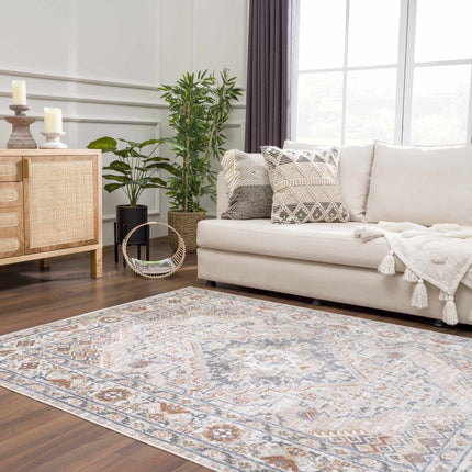 Erez Flat Pile Washable Rug - Promo Rugs TriadCommerceInc