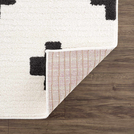 Erath Area Rug Rugs TriadCommerceInc