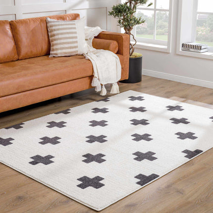 Erath Area Rug Rugs TriadCommerceInc 2' x 3' Rectangle
