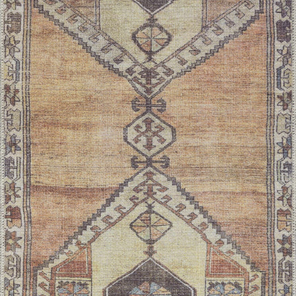 Medinah Washable Area Rug Rugs TriadCommerceInc
