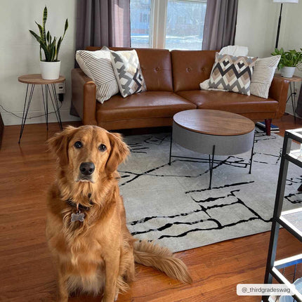 Maguyam Washable Area Rug - Clearance Rugs TriadCommerceInc