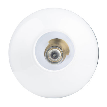 Pheobe 1-Light Modern Handblown Glass Pendant Light Home Decor > Lighting > Ceiling Lights > Pendant Lights TriadCommerceInc
