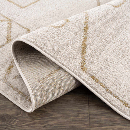 Azzan Cream & Gold Area Rug - Clearance Rugs TriadCommerceInc