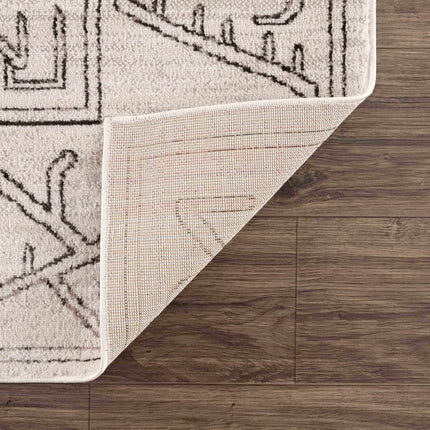 Divya Cream & Charcoal Area Rug - Clearance Rugs TriadCommerceInc