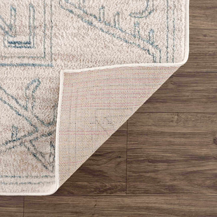 Divya Cream & Silver Blue Area Rug - Clearance Rugs TriadCommerceInc