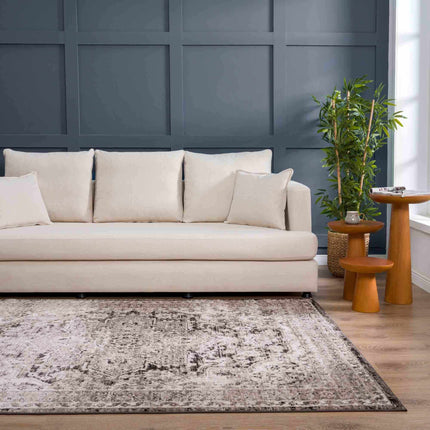 Albie Charcoal & Beige Area Rug - Clearance Rugs TriadCommerceInc