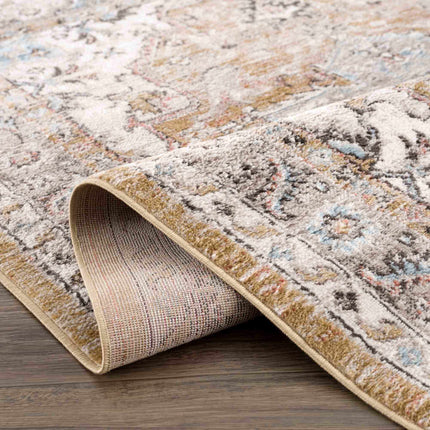 Albie Gold & Beige Area Rug - Clearance Rugs TriadCommerceInc