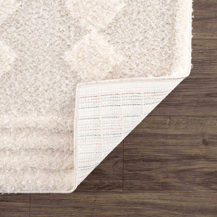 Hija Cream High-Low Area Rug Rugs TriadCommerceInc