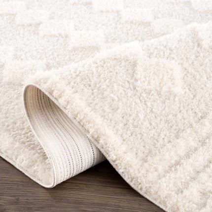 Hija Cream High-Low Area Rug Rugs TriadCommerceInc