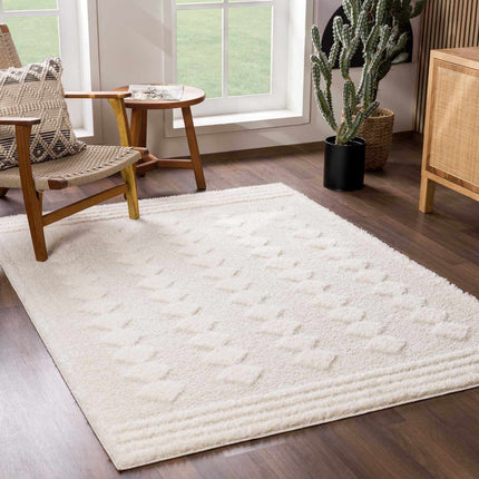 Hija Cream High-Low Area Rug Rugs TriadCommerceInc