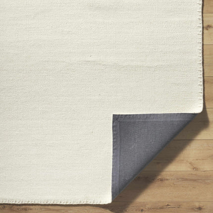 Ayumu Area Rug Rugs TriadCommerceInc