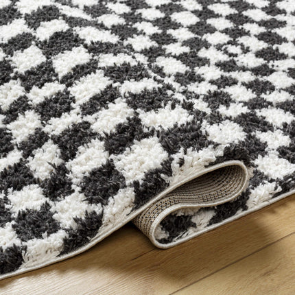 Kieu Black & White Checkered Shag Rug Rugs TriadCommerceInc