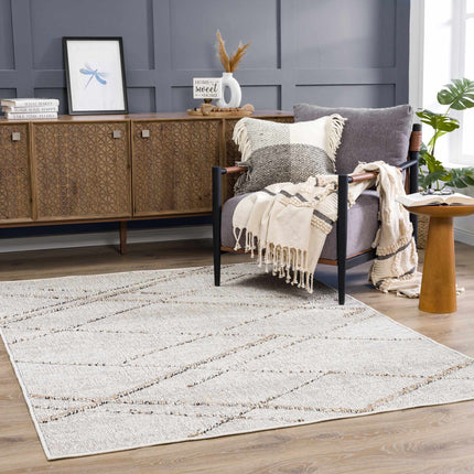 Baqer Bone & Tan Textured Performance Rug - Clearance Rugs TriadCommerceInc