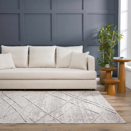 Baqer Bone & Taupe Textured Performance Rug - Clearance Rugs TriadCommerceInc