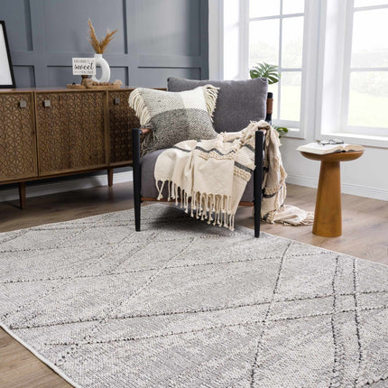 Baqer Bone & Taupe Textured Performance Rug - Clearance Rugs TriadCommerceInc