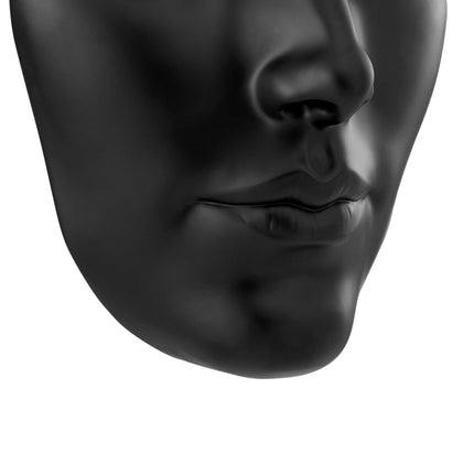 Sumerian Feminine Face // Matte Black Wall Decor TriadCommerceInc