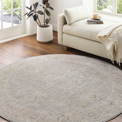 Tahmoor Gray Statement Rug - Clearance Rugs TriadCommerceInc
