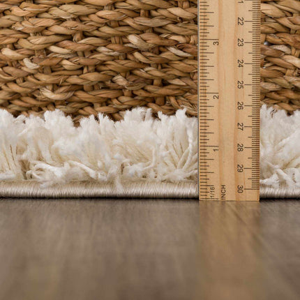 Igor Shag Area Rug Rugs TriadCommerceInc