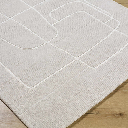 Vatsa Gray Abstract Area Rug Rugs TriadCommerceInc