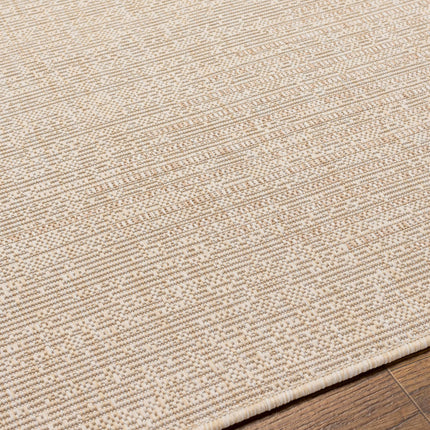 Stephan Beige Outdoor Rug Rugs TriadCommerceInc